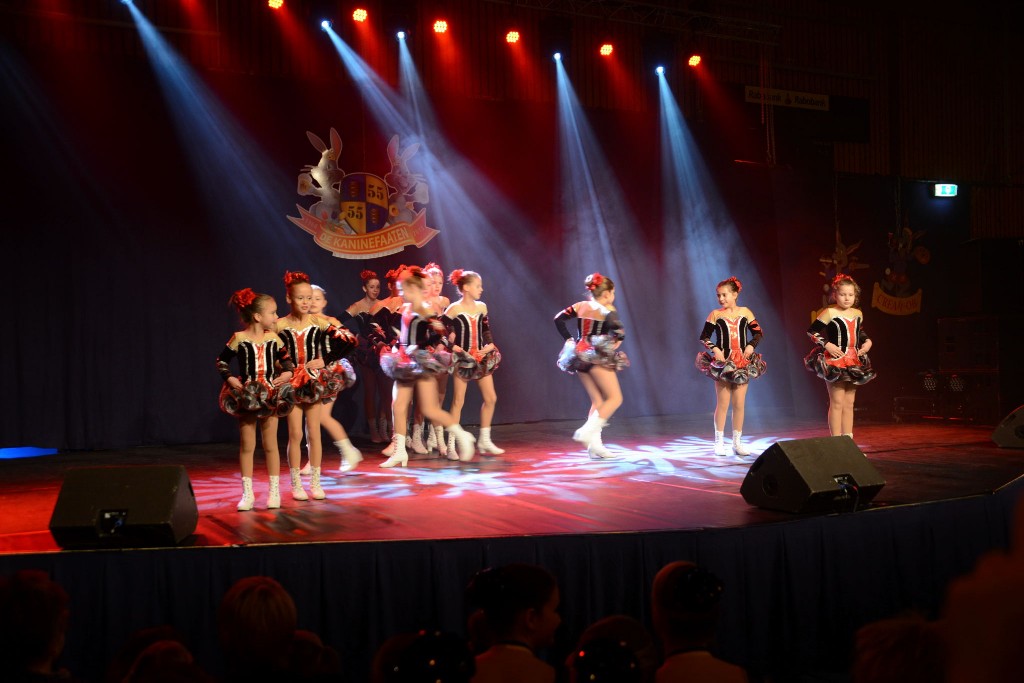 ../Images/Dansmarieke festival 2015 132.jpg